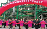 2000-2005年，选取意大利欧技工艺技术，相继建成了三套三聚氰胺出产装置，年产能5.4万吨