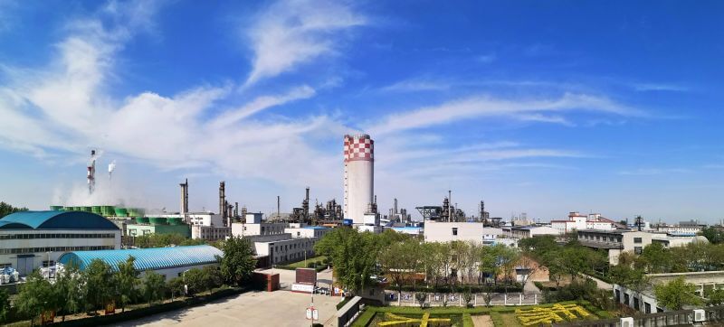 俏丽mansion88·明升官方网站