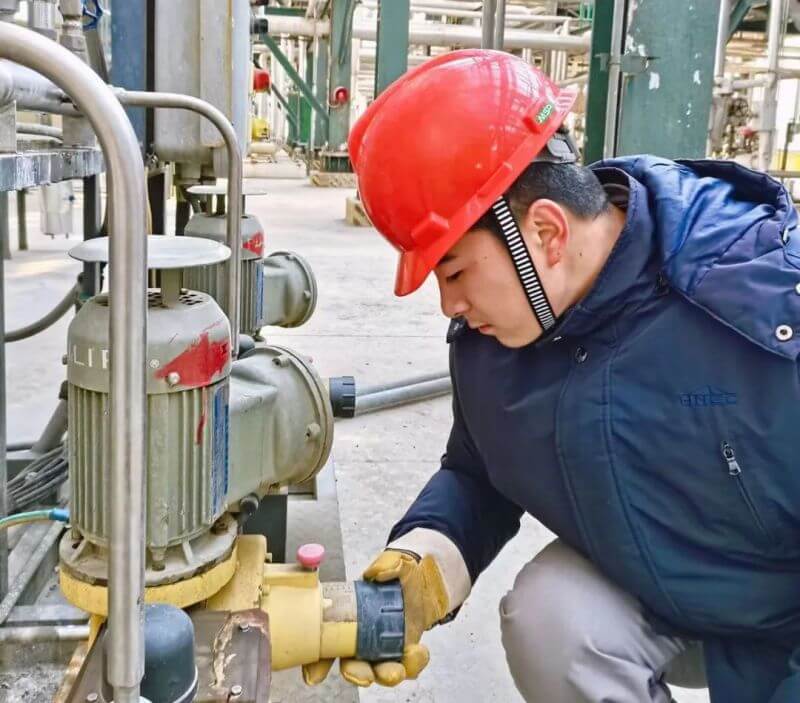 先进圭表 |王哲元： 踔严振奋 笃行不怠