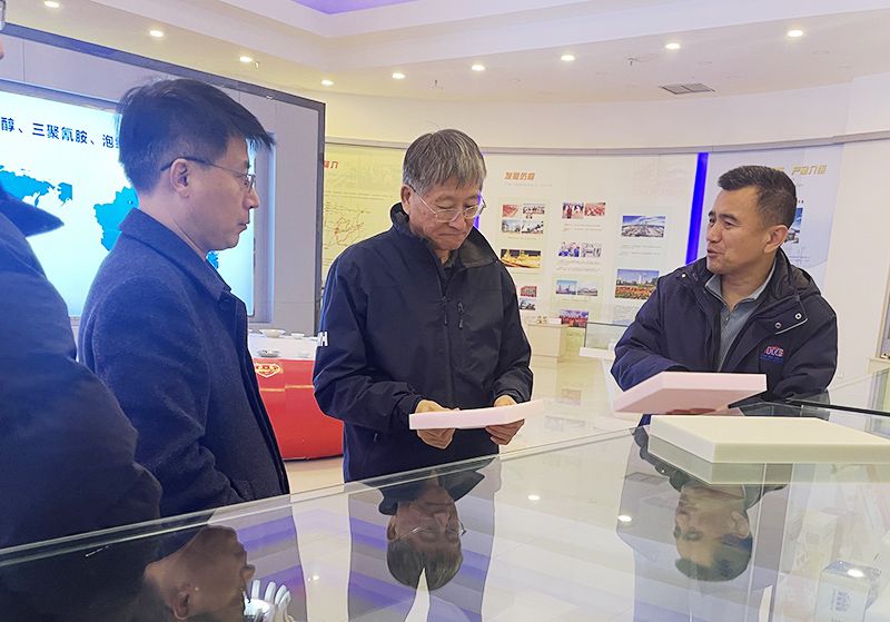 中国绝热节能资料协会到绿宇公司调研调查