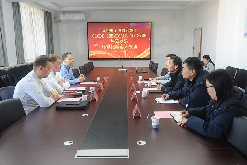 德国客人到访中原mansion88·明升官方网站